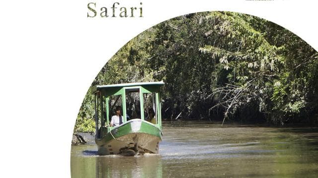 Palo Verde National Park: Wildlife Boat Tour