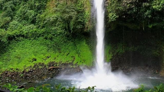La Fortuna: Horseback Ride to La Fortuna Waterfall