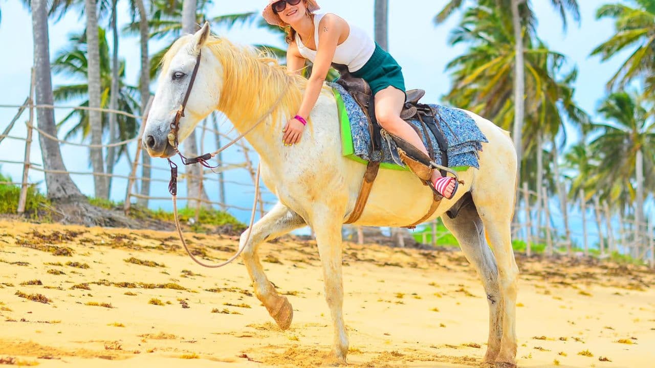 HORSEBACK RIDING BEACH MACAO PUNTA CANA WITH PICKUP HOTEL