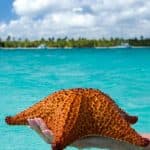 Saona Island Private Tour from Boca Chica Hotels- Boca Chica Lobby