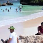 Whale Watching + Cayo Levantado Freedom