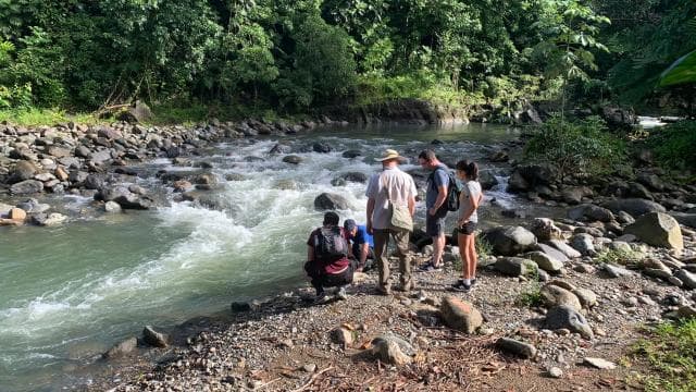 El Yunque National Rainforest Nature Walk & Luquillo Beach