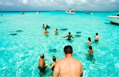 Saona Island Day Tour from Punta Cana with Lunch & Open Bar