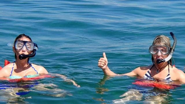 From Manzanillo: Cahuita Snorkel and Rainforest Hike