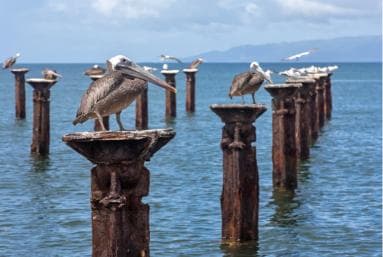 Punta Cana: Haitises, Cano Hondo, Redonda Mountain Day Trip
