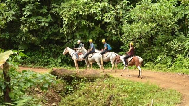 From Manuel Antonio: Horseback Riding with Lunch or Dinner