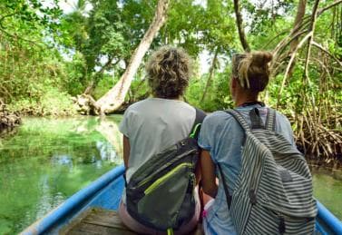 Los Haitises: Cacao & Coffee Rainforest Hike/Boat Tour