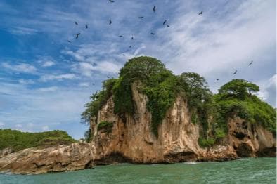 Sabana de la Mar:Los Haitises National Park: Boat Tour and Cave Visit