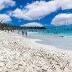 Punta Cana: Boat Tour to Isla Saona, Open Bar & Buffet Lunch