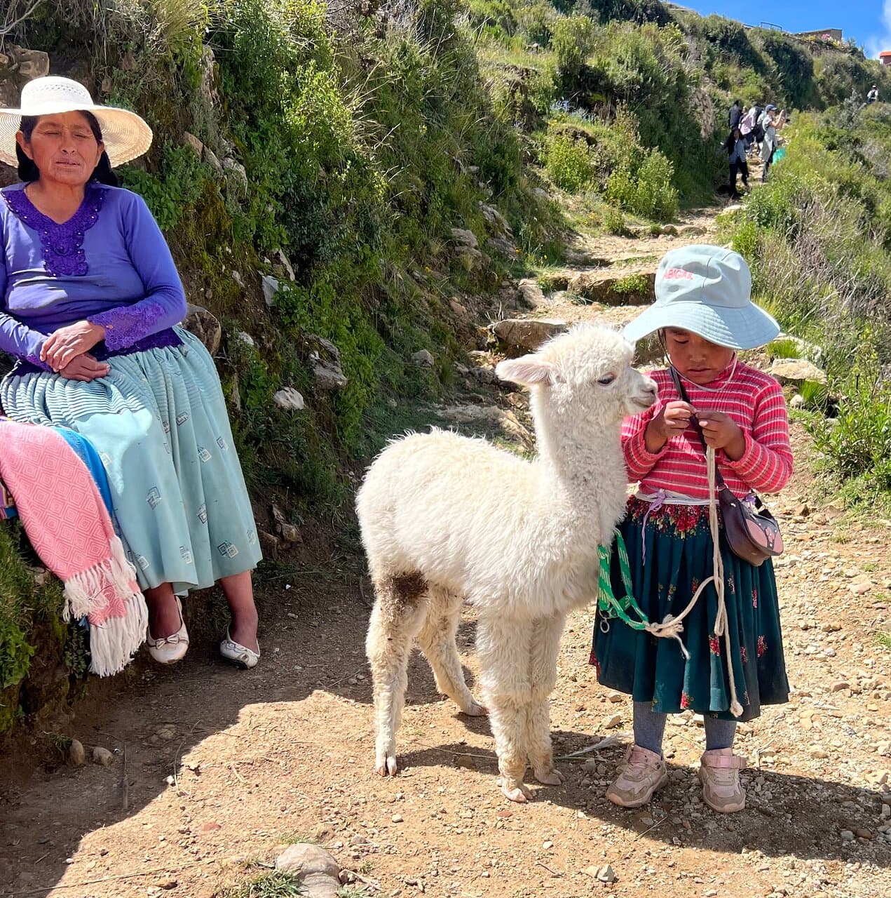 Full Day Guided Tour in Copacabana and Isla del Sol