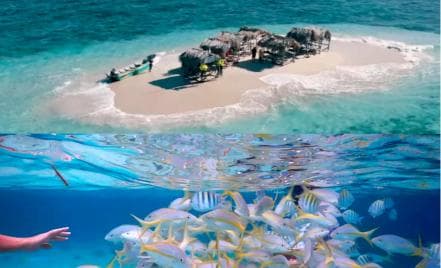 Cayo Arena: Paradise Island & Magroves Tour Private