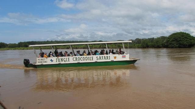 Tarcoles River: Jungle Crocodile Safari & Bird Watching Tour
