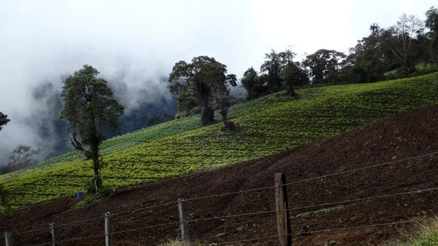 From San Jose: Secrets of Guayabo & Irazú Volcano