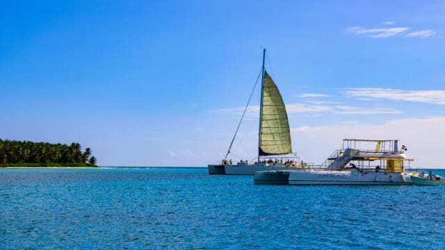 Saona Island Day Trip + Lunch + Open Bar from Punta Cana