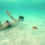 Pivate boat Saona Island Day Trip with Snorkeling and Lunch