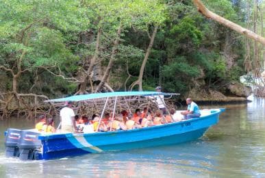 Punta Cana to Los Haitises, Caño Hondo & Montaña Redonda Day Trip – Adults $125, Kids $95 - Dominican Republic