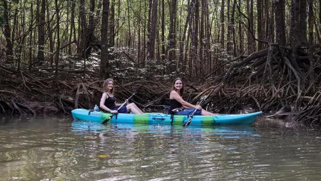 Quepos: Kayak Tour in the Mangroves Near Manuel Antonio Park