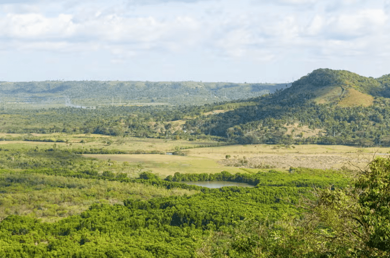 Yumuri Valley Jeep Tour