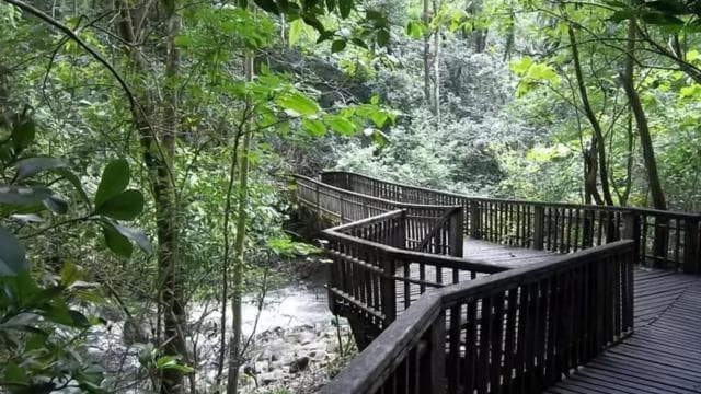 Papagayo Gulf: Guanacaste Volcano and Jungle Tour
