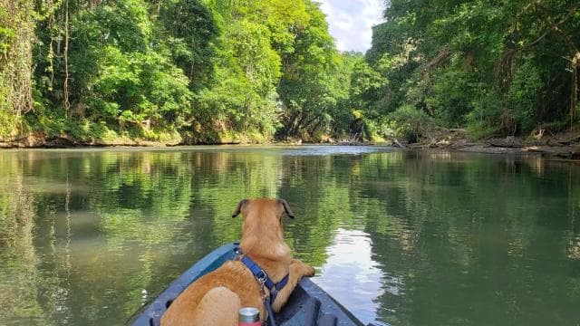La Fortuna: *TOP* Wildlife Safari Float Experience by Kayak