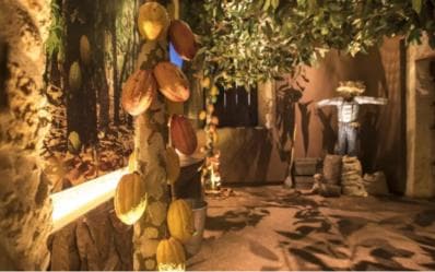 Santo Domingo: Chocolate Tour + Optional Workshops
