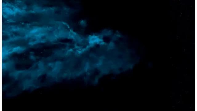 Paquera: Bioluminescent Kayak Tour Costa Rica