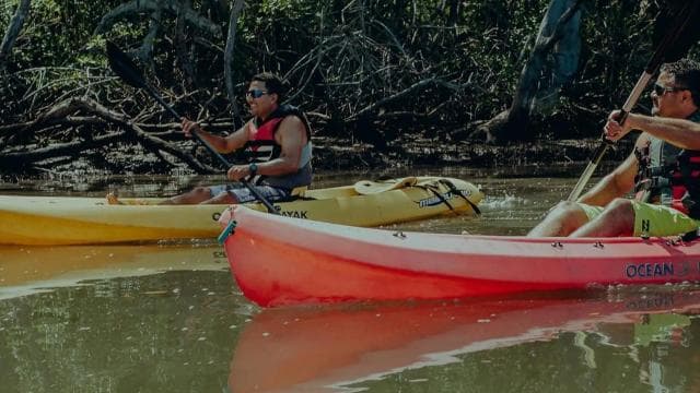 Uvita - Dominical: Private Kayak Tour - Mangroves of Terraba