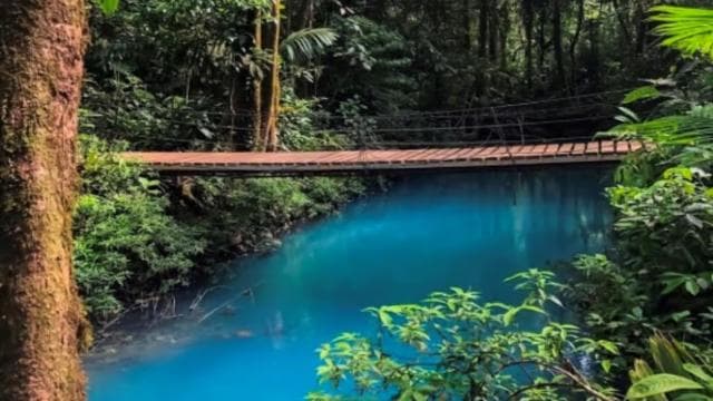 La Fortuna: Rio Celeste, Sloths, Coffee & Chocolate Tour