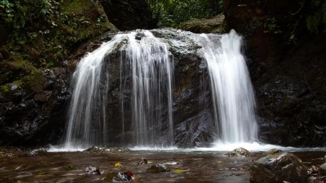 Jaco Beach: 10 Hidden Waterfalls Guided Experience