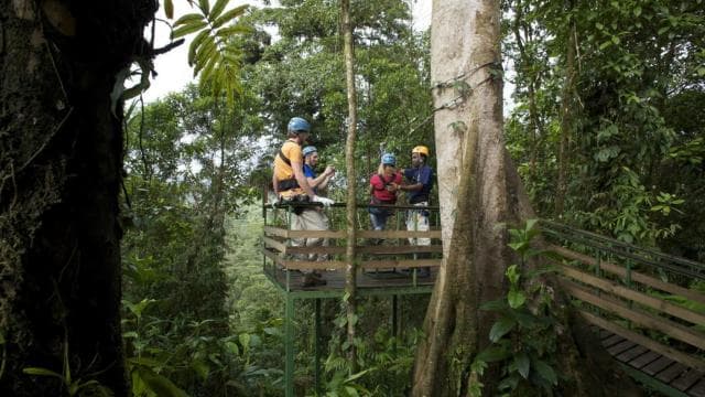 Canopy Zip line & Aerial Tram Tour Jacó