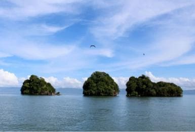 Samana: Los Haitises National Park & Caño Hondo Day Tour
