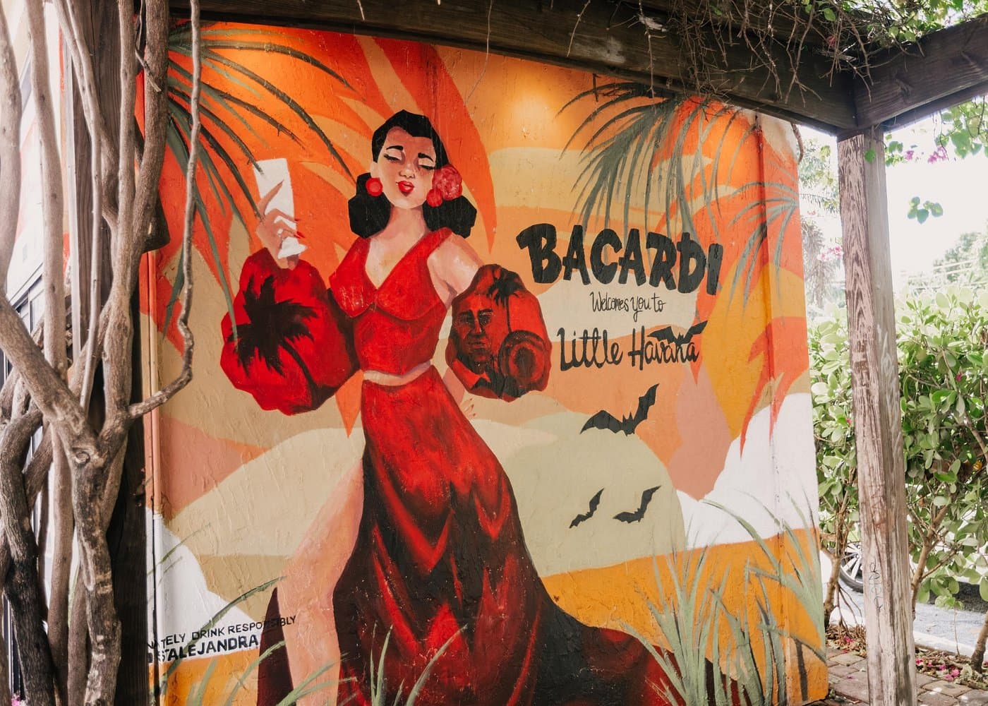 Little Havana tour in French