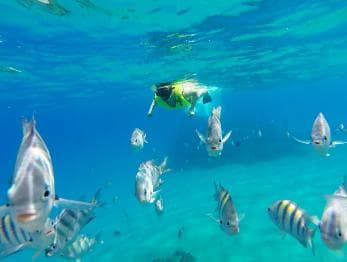 Snorkeling Tour & Sosua Beach Day