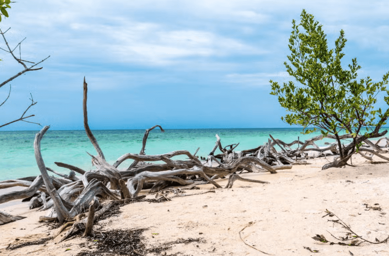Trinidad, Cienfuegos, Viñales & los Cayos 9-day Tour