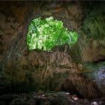 Private Boat Trip & 2 Hours Hiking Rain Forest Los Haitises