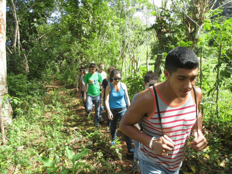 Hike + Kayak Los Haitises National Park from Punta Cana - Dominican Republic
