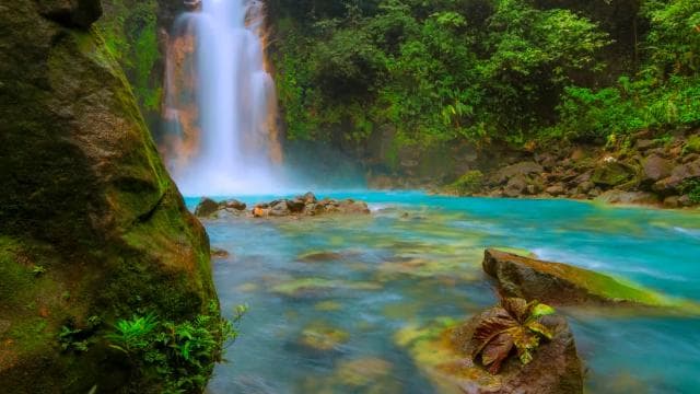 From La Fortuna: Rio Celeste Full-Day Tour