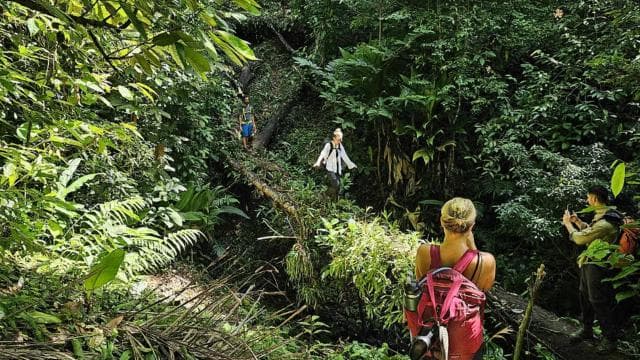 Full Day Adventure Corcovado