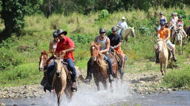Horseback Riding Tour of Punta Cana - Dominican Republic