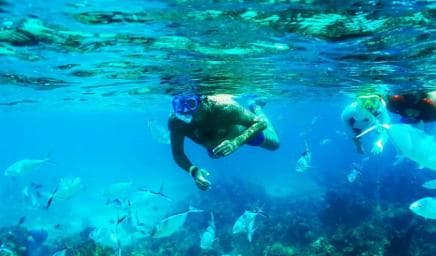 Punta Cana: Catalina Island Snorkeling Trip with Lunch