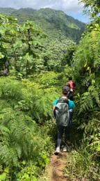 Bonao: Hike to Hidden Tropical Waterfalls with Locals