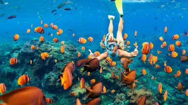 Flamingo & Tamarindo : Snorkeling at Las Catalinas Islands
