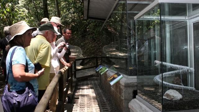 From San Jose: Braulio Carillo National Park Rainforest Tram