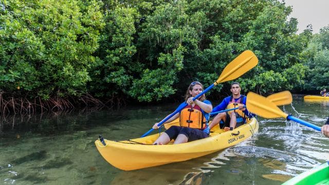 San Juan: Bioluminescent Laguna Grande Bay Night Kayaking