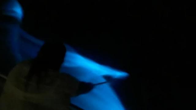 Vieques: Bioluminescent Bay Boat Tour