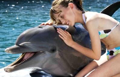 Puerto Plata: Dolphin Encounter at Ocean World