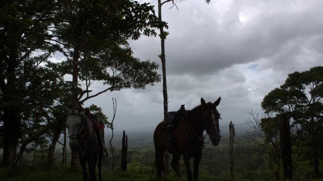 Private Horseback Riding - Río Celeste