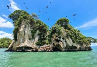 4in1: Los Haitises+ Kayaking+ Natural Pools+ Montana Redonda