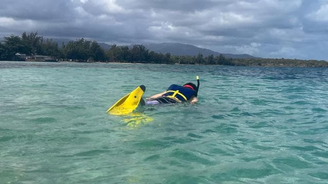 Snorkeling Lessons & Interactive Experience with Snacks