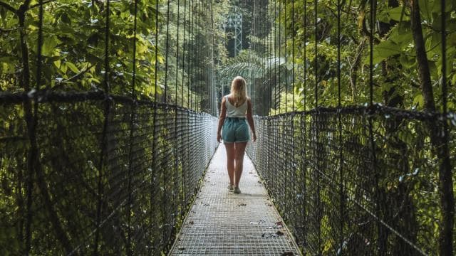 Fortuna Arenal : Tropical Rainforest Arenal Hanging Bridges
